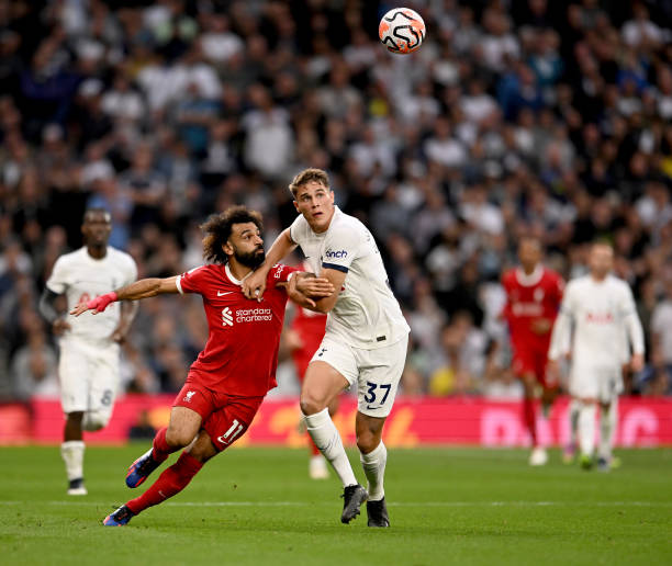 的续约总是 的续约总是