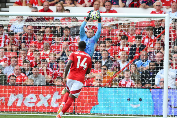 浦书写自己 浦书写自己