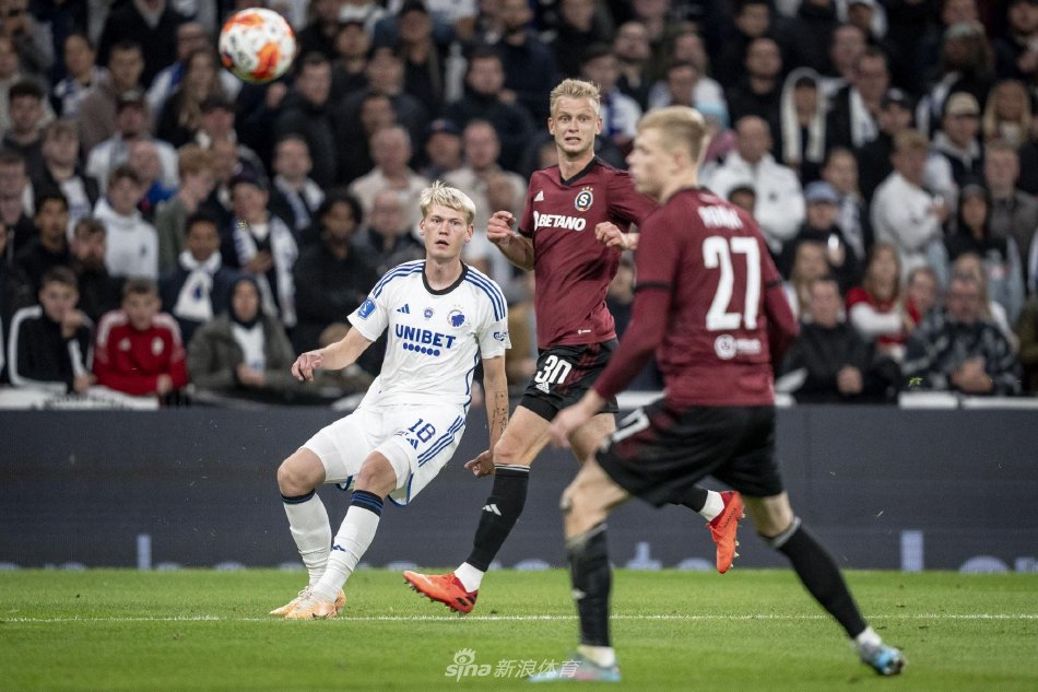 精神属性 精神属性